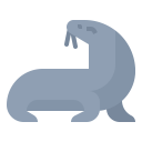 animals,wildlife,zoo,animal,wild,sea lion ok 